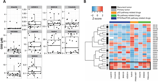 GI50 values of 25 GSCs for a panel of small molecule compounds.