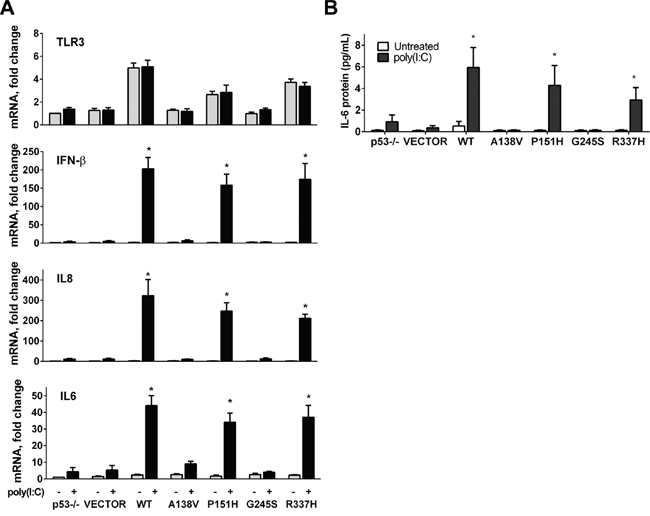 p53 mutants enhance TLR3 induced immune responses.