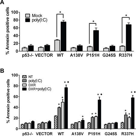 p53 mutants enhance TLR3 induced apoptotic responses.