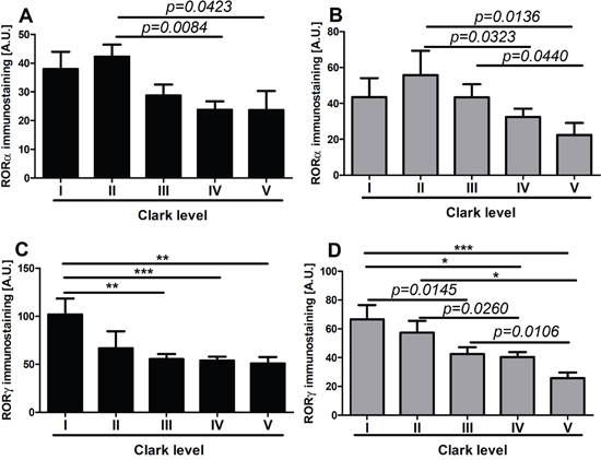 The mean level of nuclear (A, C) and cytoplasmic (B, D) ROR&#x03B1; (A, B) and ROR&#x03B3; (C, D) in primary melanomas stratified according to the Clark level.