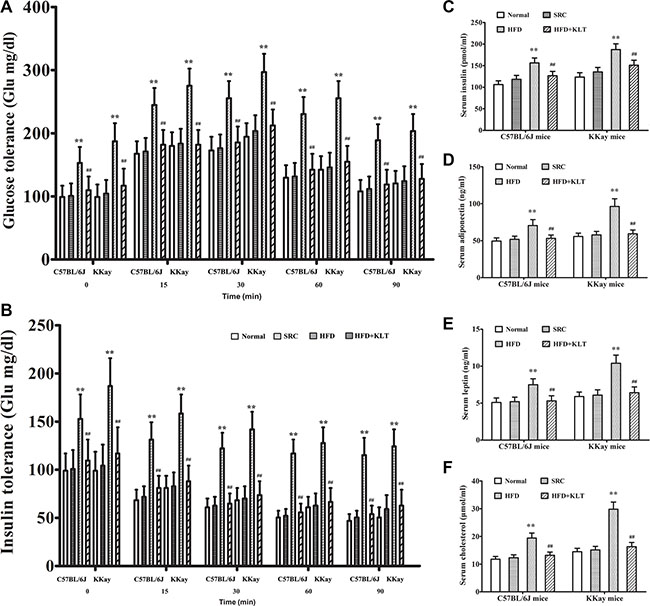 HFD-induced overweight or obesity leads to energy imbalance.