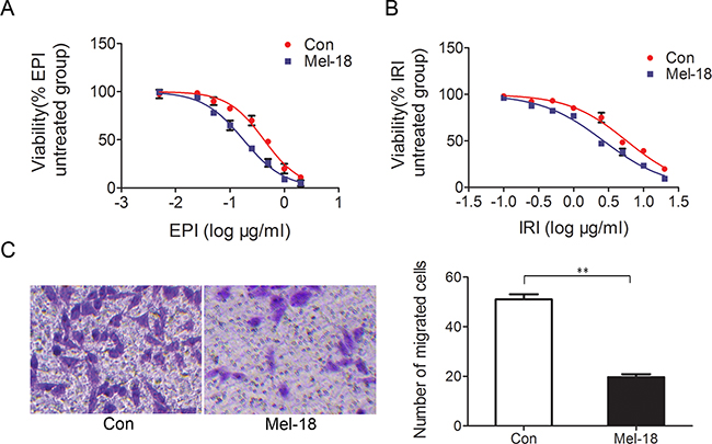 Mel-18 overexpression reduced chemotherapy resistance and metastatic potential of gastric cancer cells.