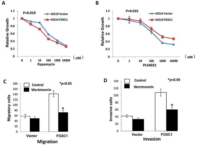 FOXC1 exerted its function by activating MST1R/PI3K/AKT pathway.