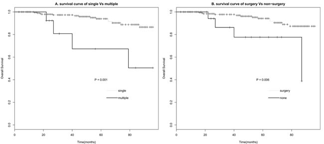 Survival curve of CN based on number (A) and treatment (B).