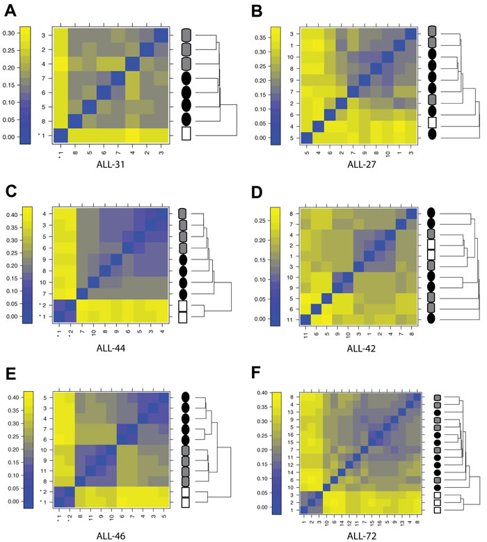 Effect of engraftment and drug-treatment on T-ALL gene expression profiles.