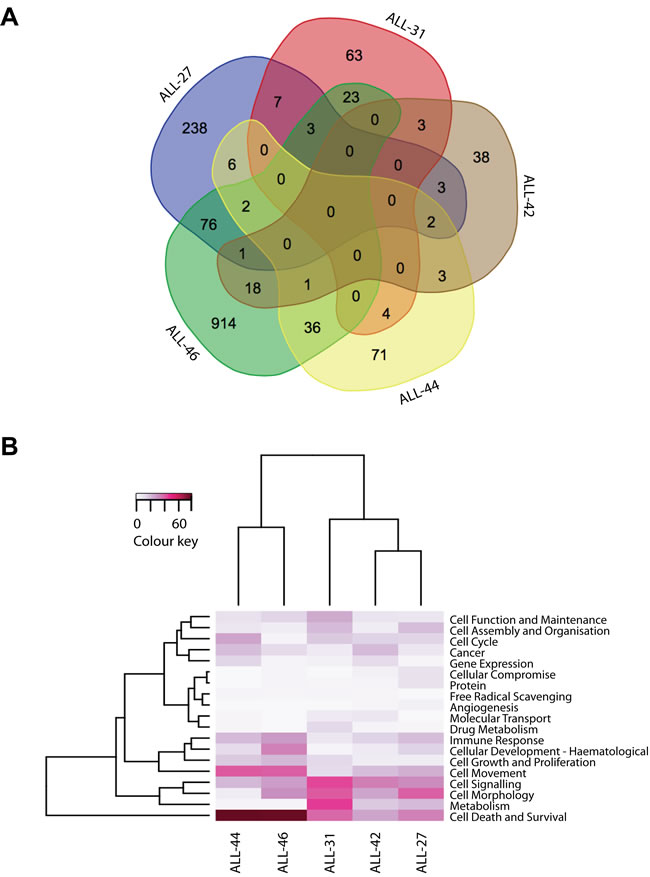 Biology of acquired DEX-resistance in VXLD2-treated xenografts.