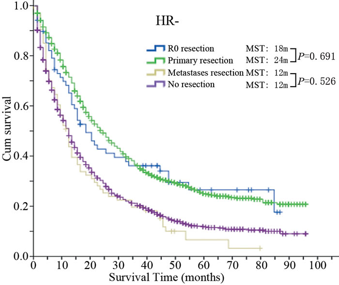 Kaplan-Meier survival curves of the four groups in the HR- population.