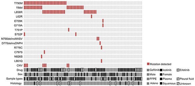 Comutation plot of EGFR mutations in 83 patients.