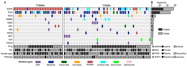 T790M&#x002B; and T790M- groups demonstrated different mutation spectrums.