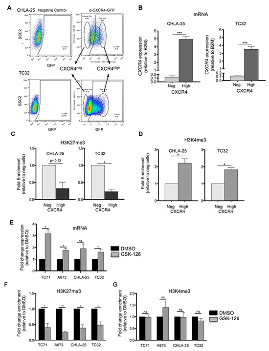 Upregulation of CXCR4 is associated with loss of H3K27me3.