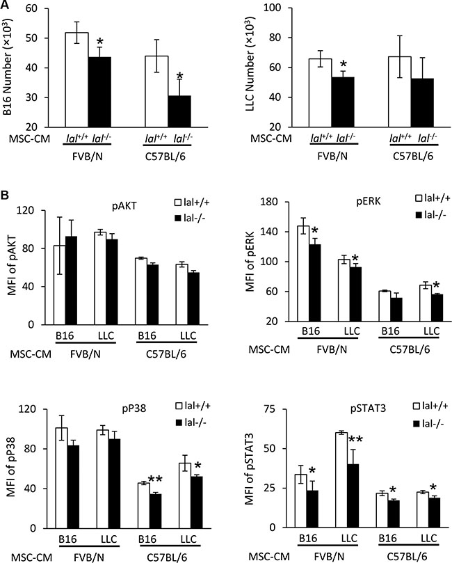 MSC-CM stimulates activation of intracellular signaling molecules.