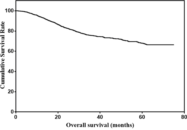 Overall survival of gastric cancer patients with normal serum CEA, CA19-9, AFP, and CA125 levels.