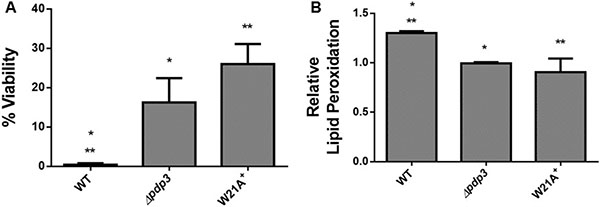Effect of Pdp3 deficiency or W21A mutation on tolerance to oxidative stress.