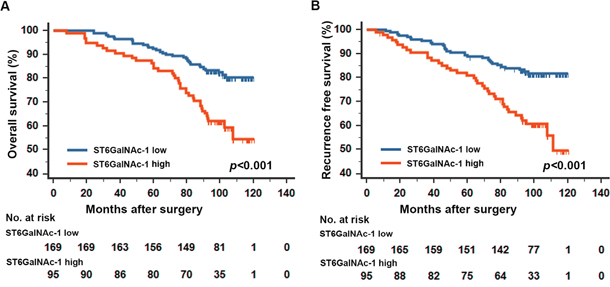 Kaplan-Meier analyses for overall survival and recurrence free survival of patients with ccRCC according to ST6GalNAc-1 expression.