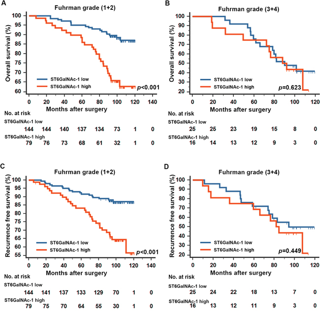 Kaplan-Meier analyses for overall survival and recurrence free survival of patients in Fuhrman grade subgroups.