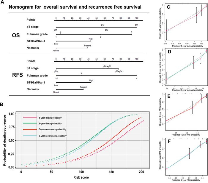 Nomogram for predicting 5- and 8-year overall survival and recurrence free survival in patients with ccRCC.