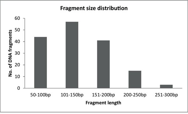 Fragment size distribution of BRCA1-2 samples after the enzymatic fragmentation of multiplex PCR products.