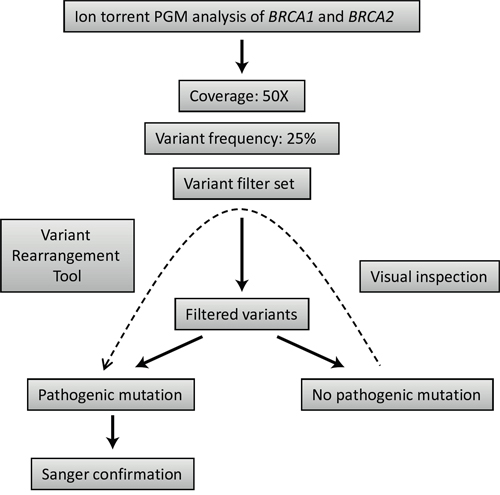 Strategy outline for mutation detection using Ion torrent PGM sequencing data.