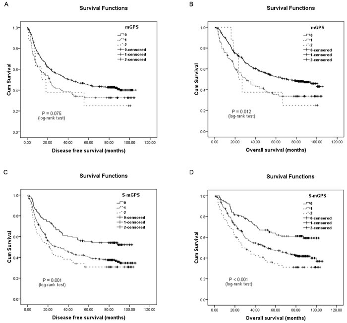 Kaplan-Meier survival curves of 442 esophageal squamous cell carcinoma patients.