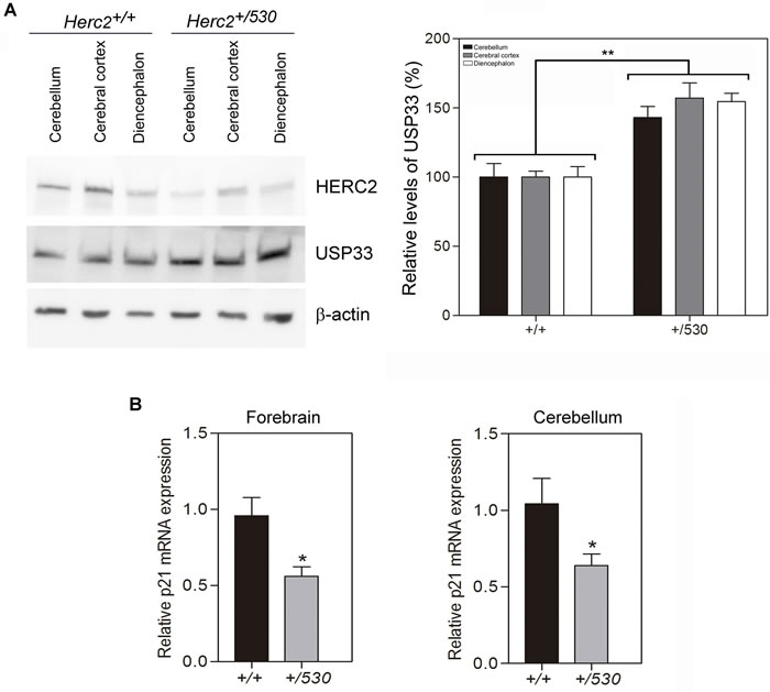 Figure 5: