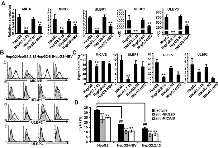 HBV