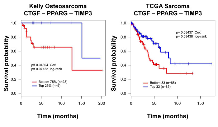 A CTGF-PPAR&#x3b3;-TIMP3 signature correlates with clinical outcome in osteosarcoma.