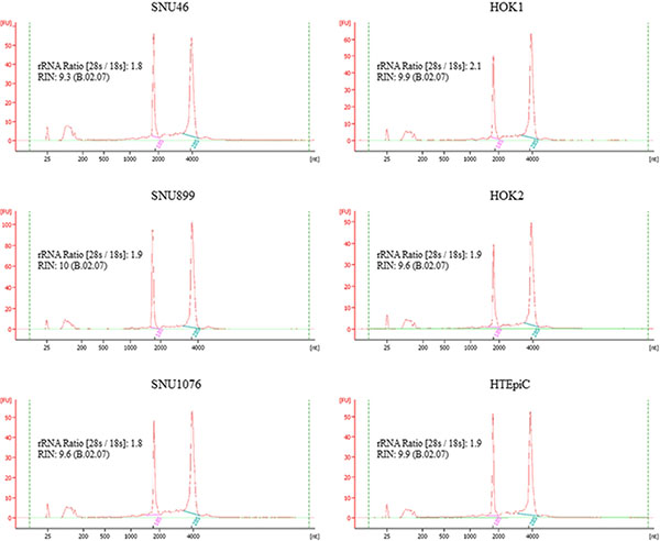 The RNA quality of the cell lines for microRNA microarray profiling.