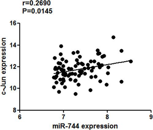 Association of miR-744 expression with c-Jun mRNA levels in NSCLC from TCGA dataset.