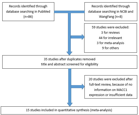 Flow chart of the selection of the studies in the meta-analysis.