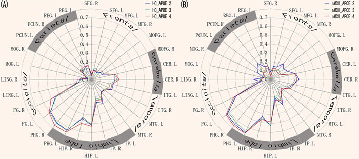 Heterogeneous functional connectivity associated with the ERC seed in APOE2, APOE3, and APOE4, respectively.