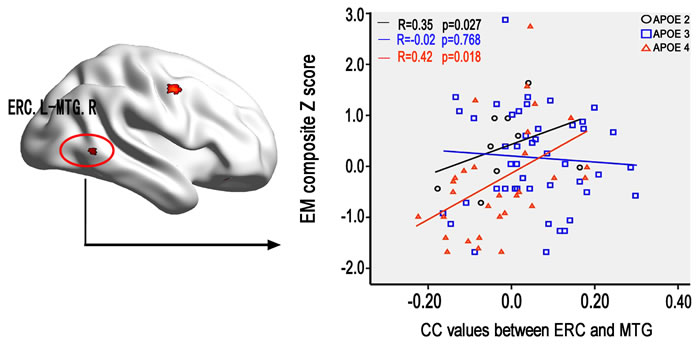 The effect of