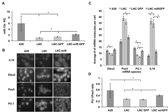 Gene expression analysis of NZB B cell line (LNC) transduced with miR-15a lentiviral construct.