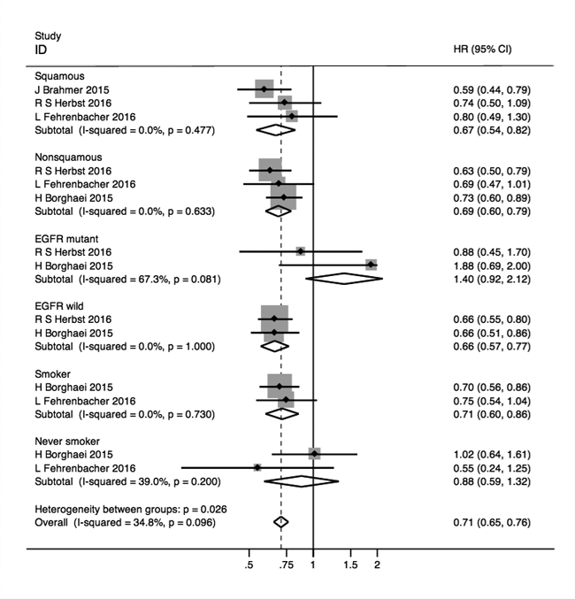 Forest plots of HRs for OS in squamous, non-squamous,