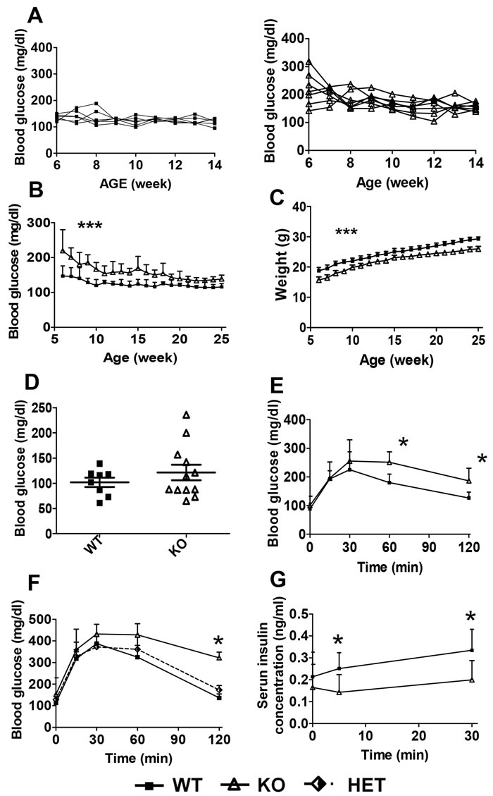 &#x3b2;-cell-specific deletion of HDAC3 causes higher blood glucose level, glucose intolerance and impaired insulin secretion in mice.