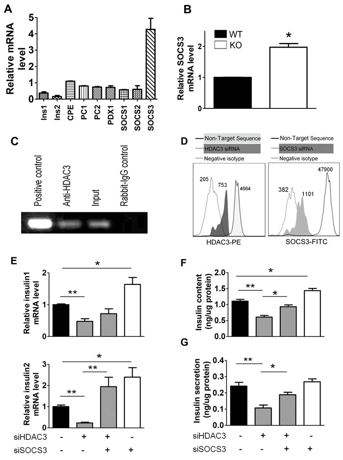 SOCS3 upregulation by HDAC3 depletion in islet &#x3b2;-cells contributes to insulin production defect.