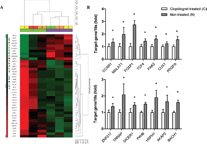 Microarray analysis in xenograft tumors from control and clopidogrel-treated mice.