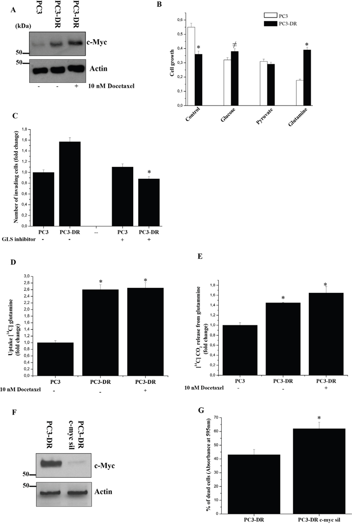 PC3-DR cells acquire glutamine addiction.