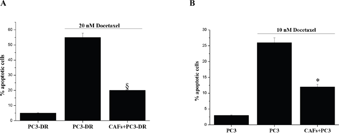 CAFs reduce sensitivity to docetaxel-induced apoptosis.