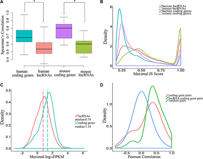 Temporal-specific expression of lncRNAs.