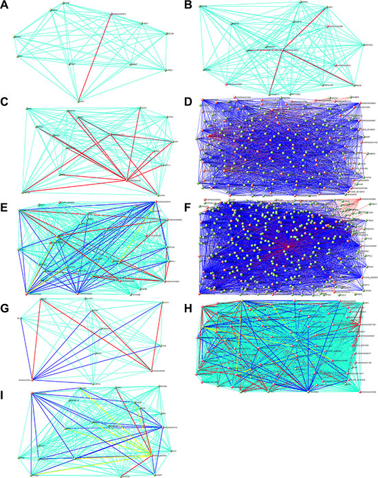 Hub gene networks for human stage-specific modules.