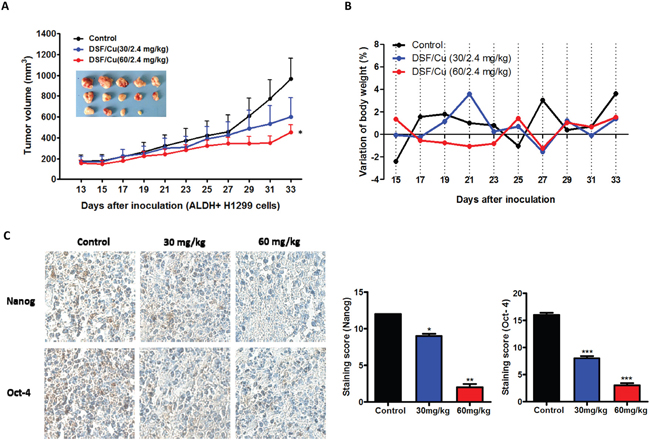 DSF/Cu inhibits ALDH-positive NSCLC stem cells in vivo.