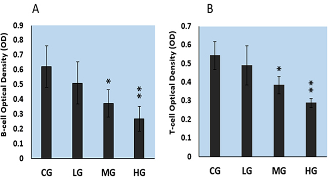 The effects of NaF on cell proliferation of splenic T and B lymphocytes as determined with cell counting kit-8.