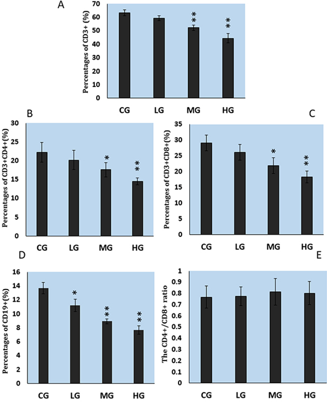 Changes of cultured splenic lymphocytes as determined with flow cytometry.