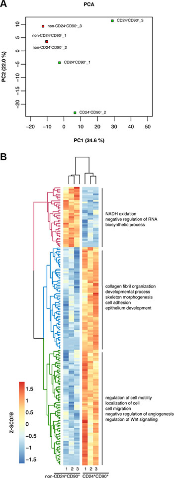 Differential gene regulation in TICs vs non-CD24+CD90+ tumor cells.