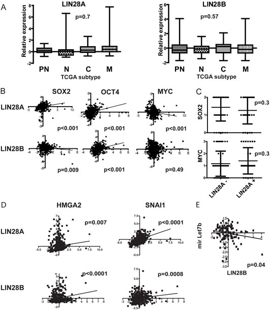 Interrogation of The Cancer Genome Atlas (TCGA) dataset of more than 500 GBM tumors shows that