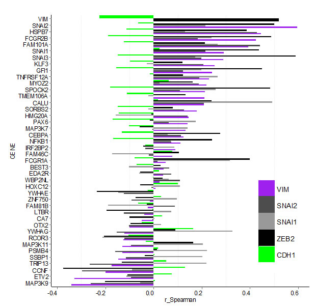 Bargraph for Spearman correlation coefficients (r_Spearman) for gene expression between confirmed hits and select EMT markers in the TCGA breast carcinoma data-set.
