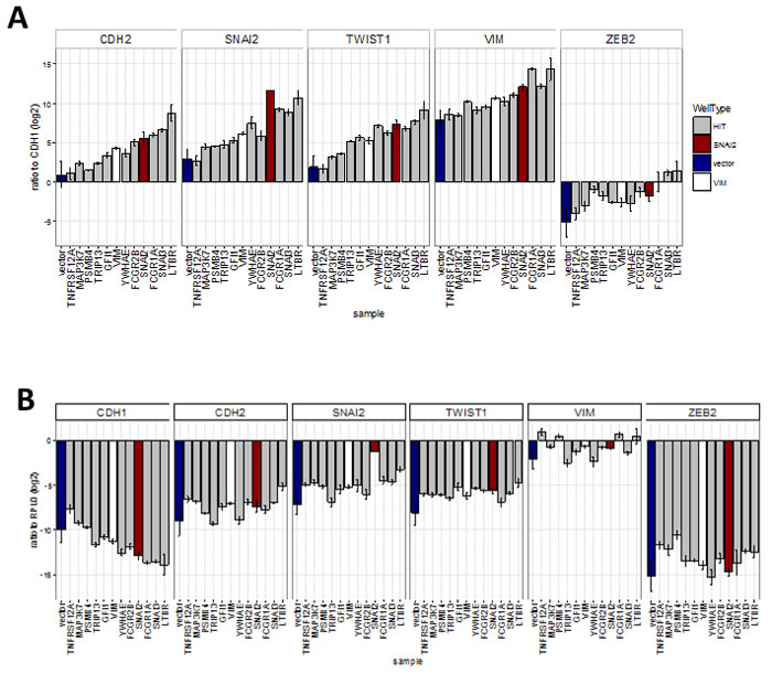 Effect of hits on EMT marker expression obtained by qRT-PCR analysis of cell-lines stably expressing hit genes (sample) (Bar = mean, error bar = SD,