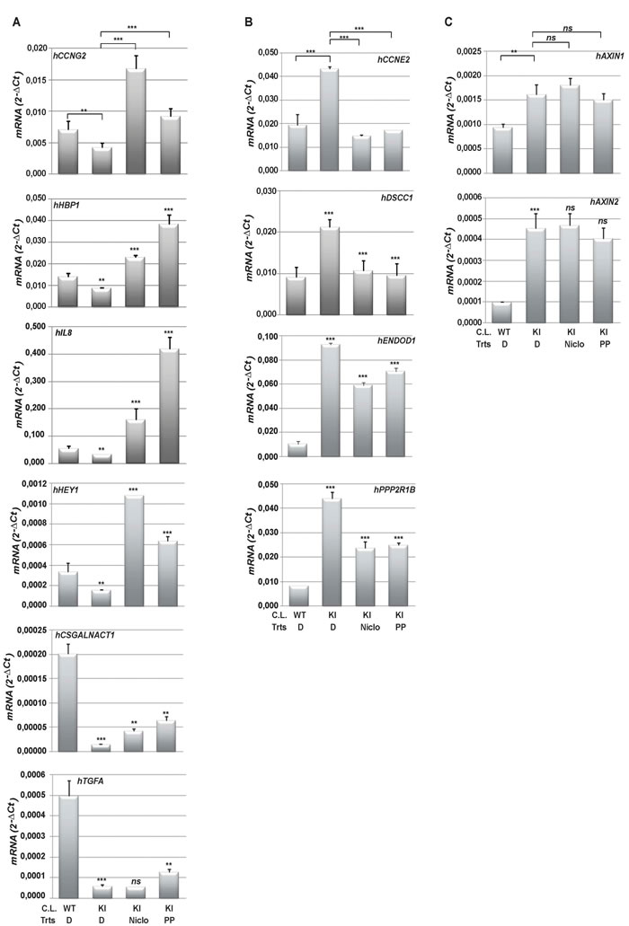 Niclo and PP effectively control oncogenic PI3K-dependent gene expression.