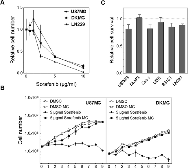 Effect of sorafenib on proliferation &#x0026; clonogenicity.