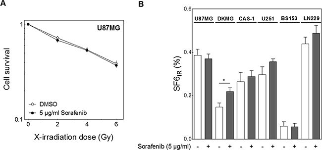 Effect of sorafenib on cellular radiosensitivity.